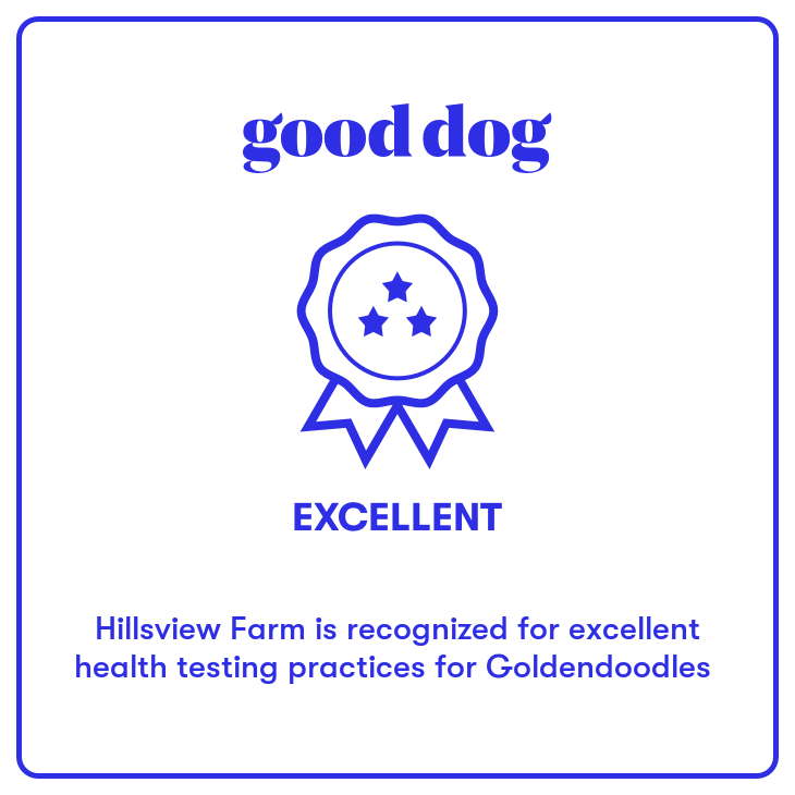 Good Dog Excellent Badge