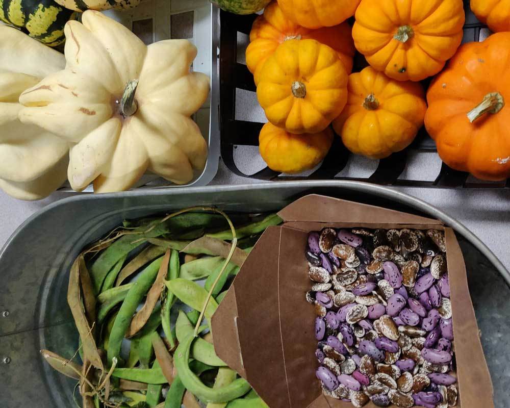 Hillsview farm produce 3