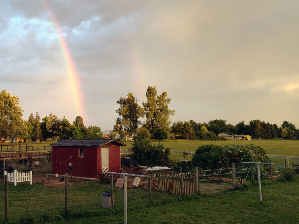 Hillsview farm rainbow 2